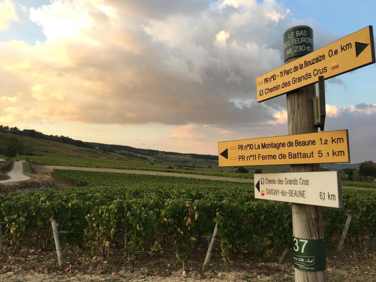 Le Gite De Tassigny Meursault Luaran gambar
